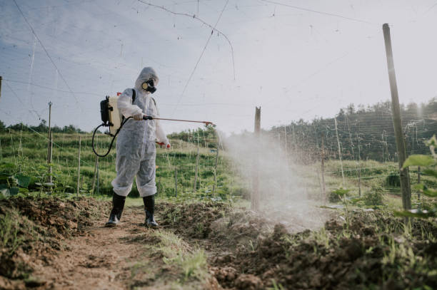 Best Affordable Pest Control Services  in Gallitzin, PA