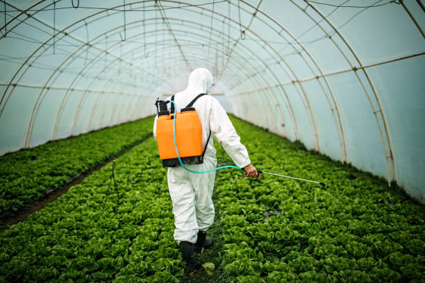 Best Residential Pest Control  in Gallitzin, PA