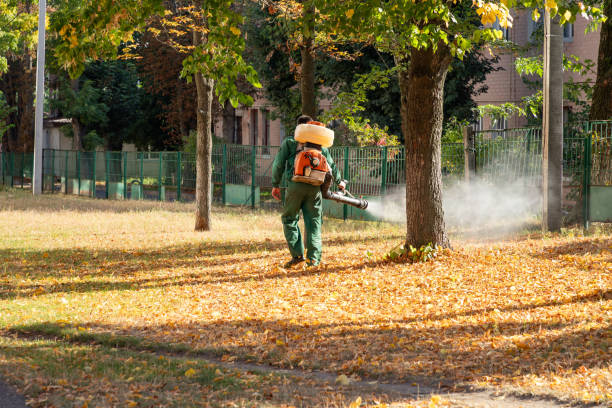 Best Emergency Pest Control  in Gallitzin, PA
