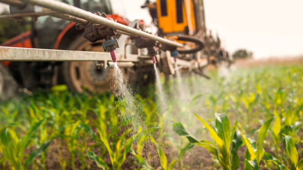 Best Best Pest Control Companies  in Gallitzin, PA